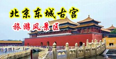 欧美黑妇人性爱中国北京-东城古宫旅游风景区